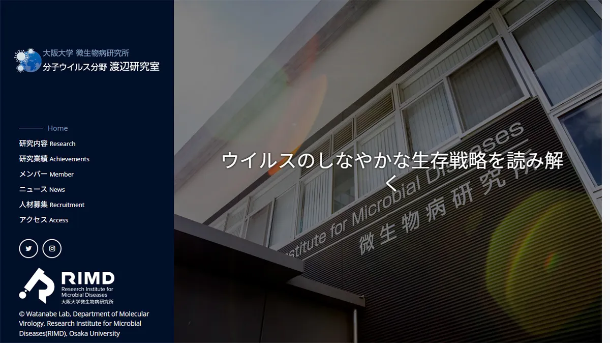 大阪大学 微生物病研究所 分子ウイルス分野 渡辺研究室