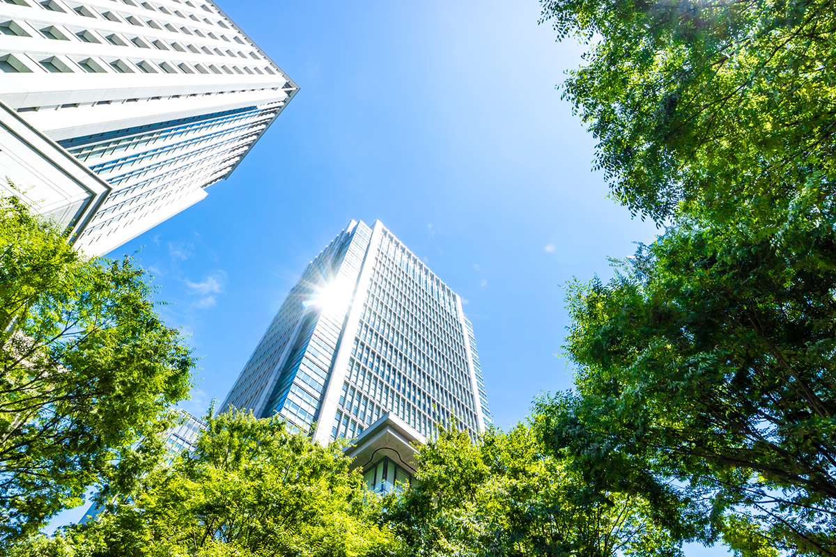 企業やビジネスでの本格運用