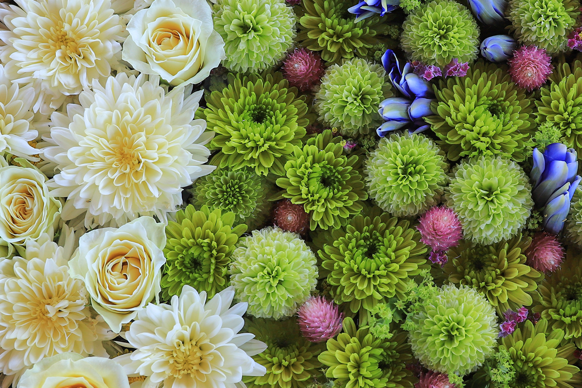 InstagramなどSNSとの連携