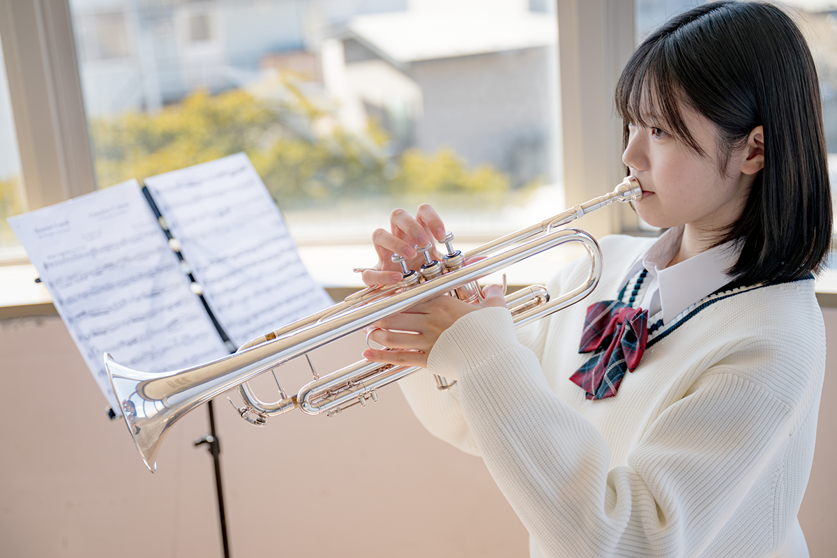 写真や動画素材の収集