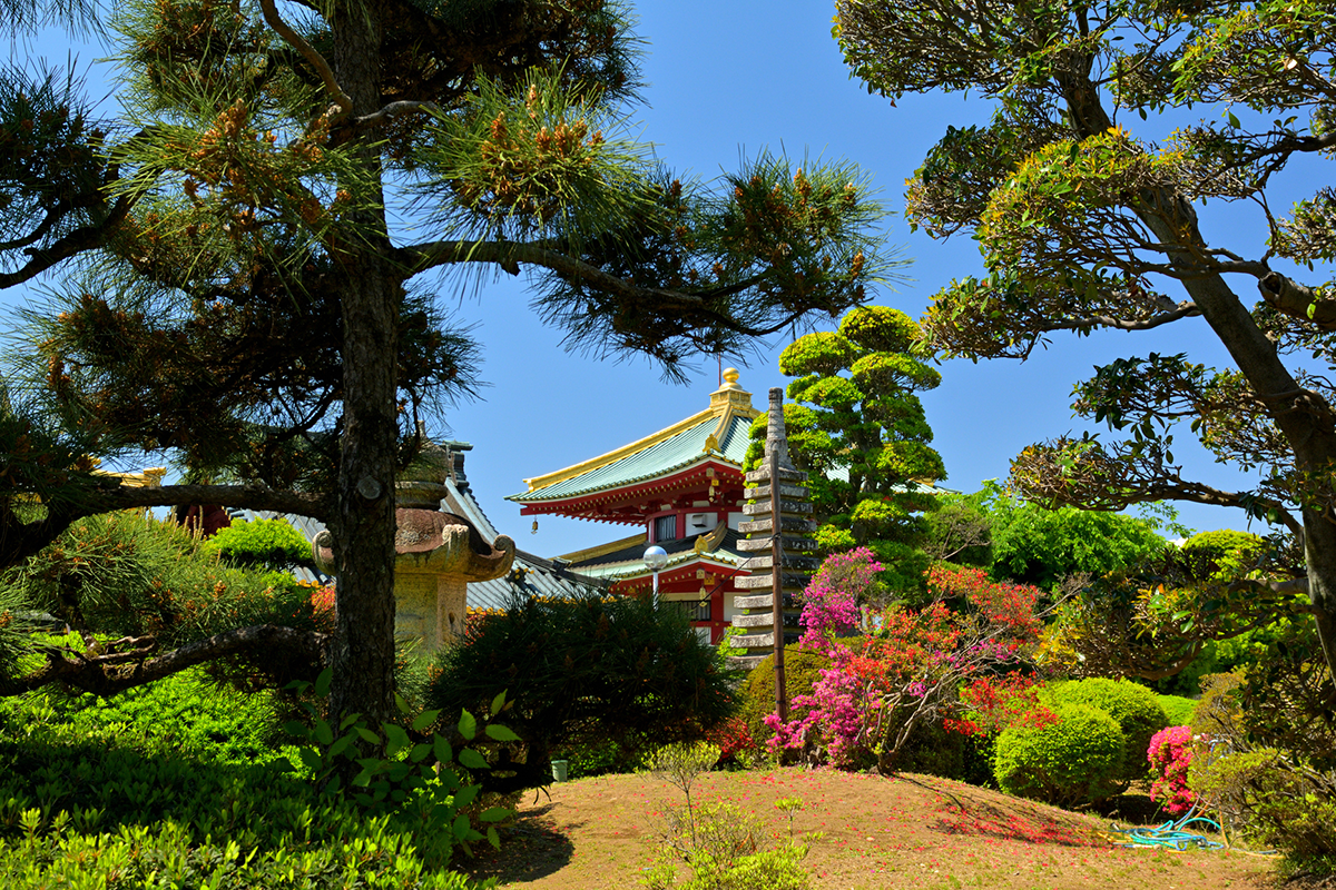 リアルタイム情報の発信