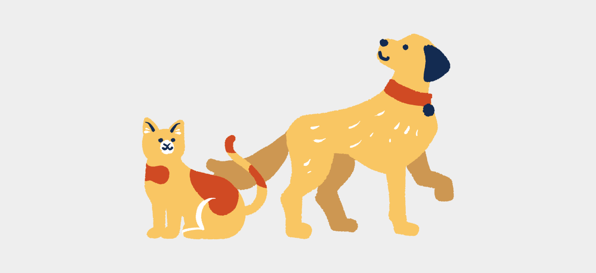 犬・猫のペット記録をつけることが大切な理由