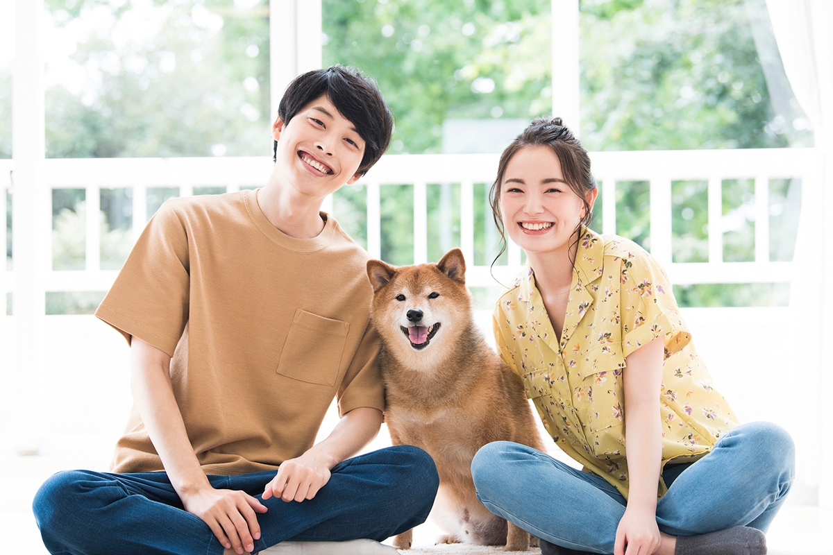 ペット記録に適したサービスやツールの選び方