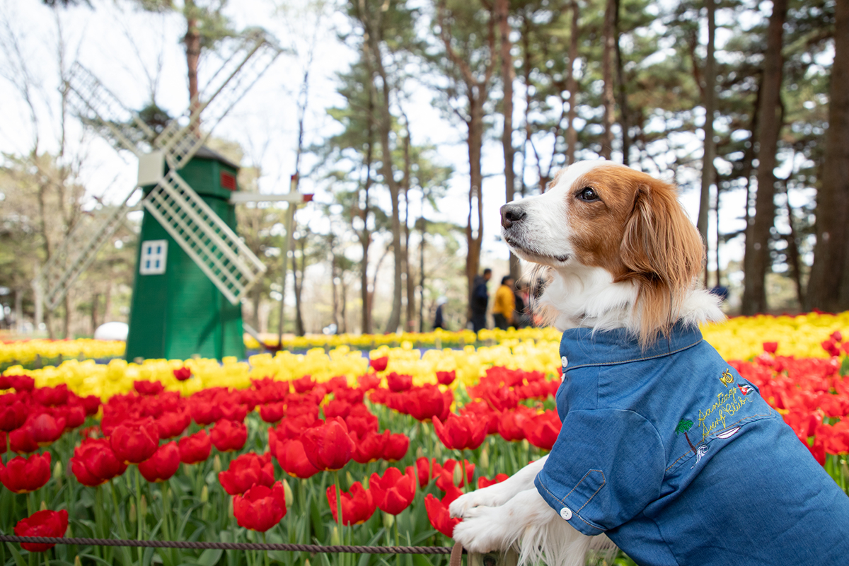 写真や動画を整理してアルバムを作る方法