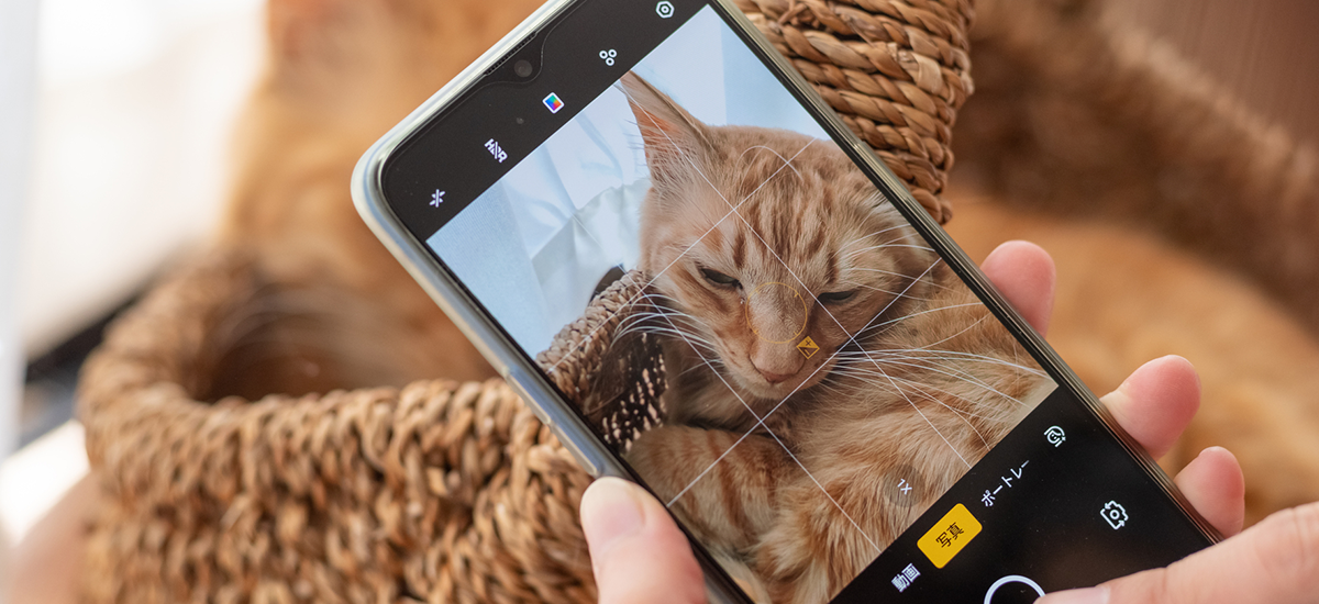 犬・猫のペット記録を長く続けるためのコツ