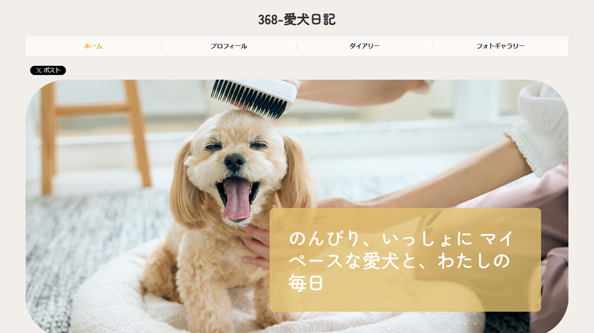 テンプレートイメージ