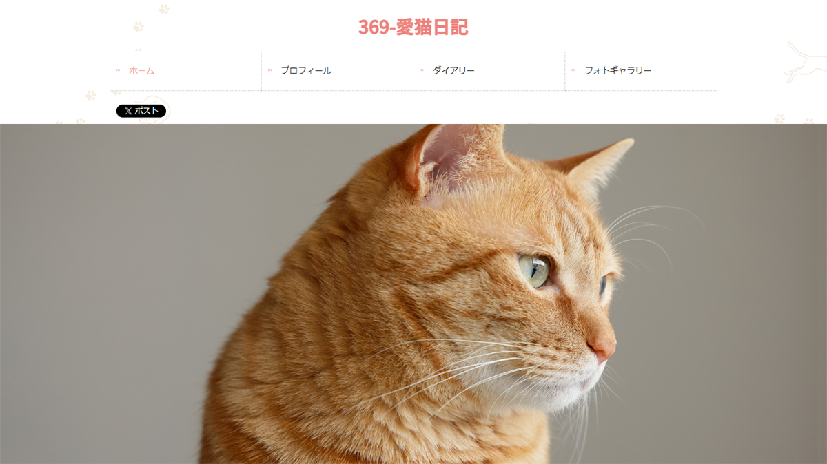 テンプレートイメージ