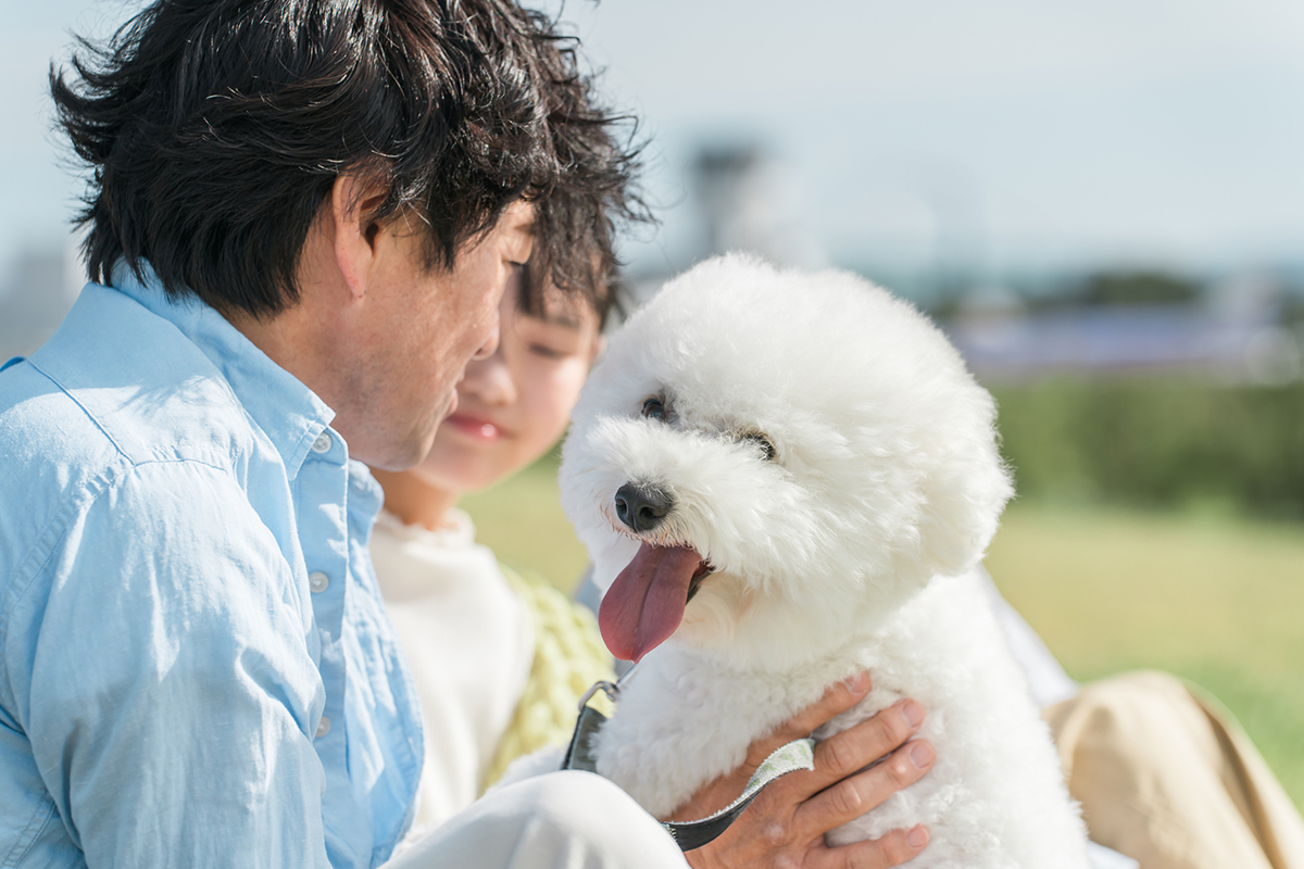 犬・猫の里親募集が広まった背景と現状