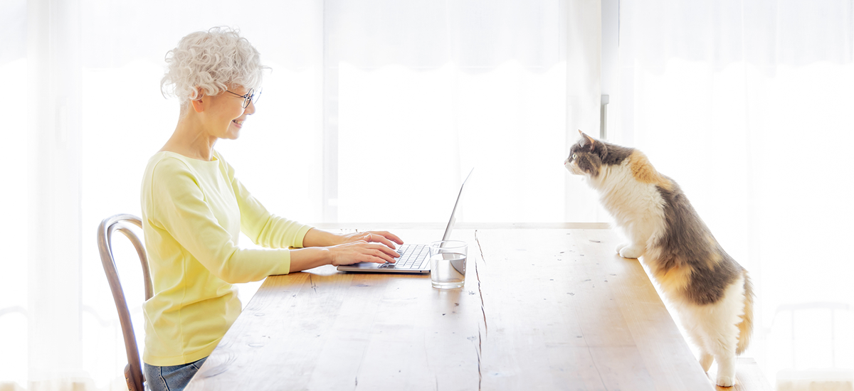 犬・猫のペット里親募集サイトを作る前に知っておくべきこと