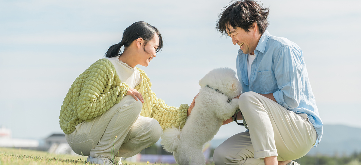 犬・猫のペット里親募集サイトの作り方ステップ別解説