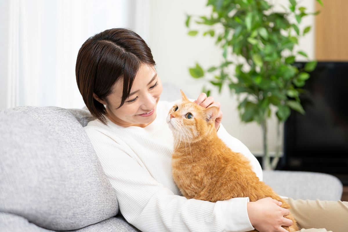 ステップ1　サイトの目的とコンセプトを決める