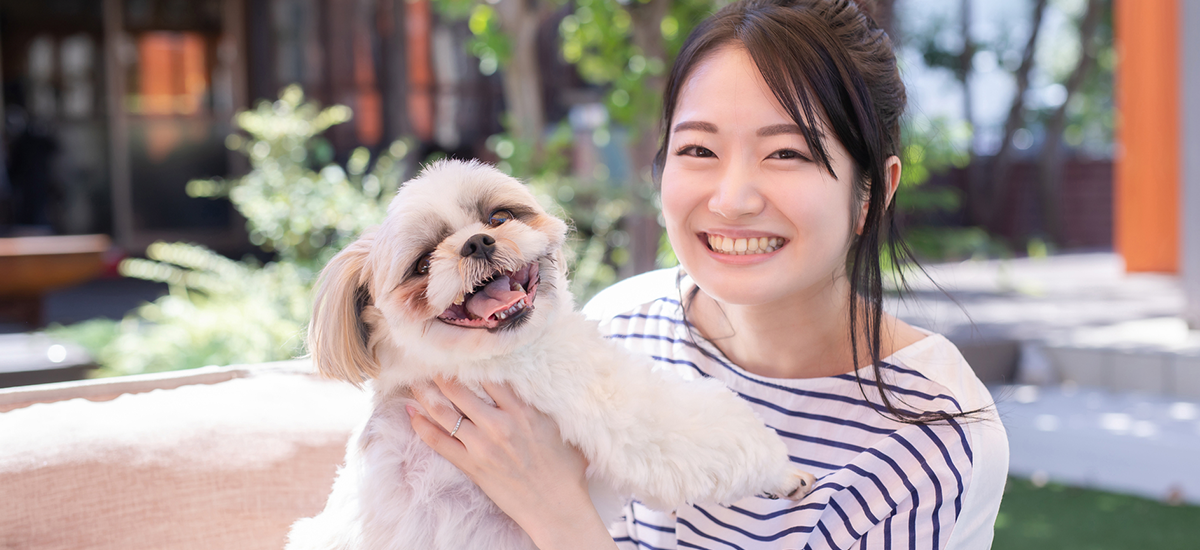 犬・猫のペット里親募集サイトの集客と運営方法