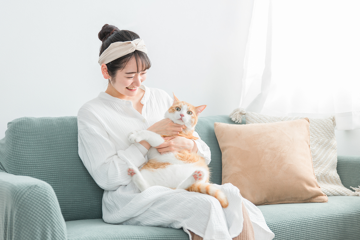 定期的なサイト更新と情報管理のコツ