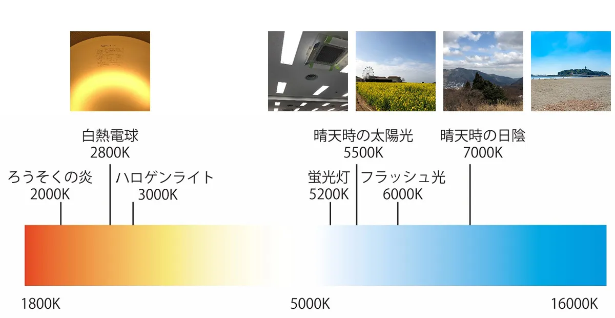 自然光と人口光の色温度差