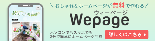 Wepage SNS